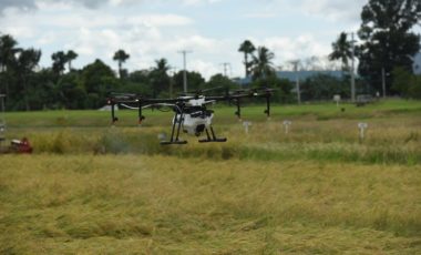 Drones in Indian Agriculture